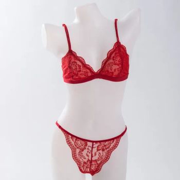 Sexy Lace Triangle Cup Ladies Underwear Set - SHANTOU HUICHEN FASHIONS CO.,LTD. - China