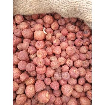Premium Dried Betel Nuts Wholesale Bulk High Quality Areca Nuts Cheap and Affordable Supplier for Retail and Export from A.C.P. AGRICULTURE COMPANY LIMITED Premium Dried Betel Nuts Wholesale Bulk High Quality Areca Nuts Cheap and Affordable Supplier for Retail and Export - A.C.P. AGRICULTURE COMPANY LIMITED - Thailand
