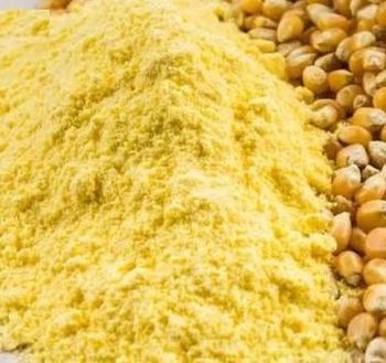 Yellow Corn Flour – product photo, Recommend Fallback
