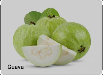 Fruit Grade High Source Guava From Bangladesh Certification Iso Certificate Packaging Food Grade Poly on Cartoon Fruit Flesh Color Yellow, Pink, Or White - Bio Ingredients - Bangladesh