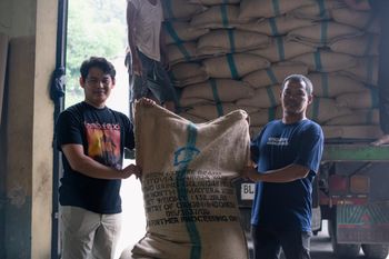 Indonesian Green Coffee Beans – Arabica & Robusta - Glazer Indonesia Export - Indonesia