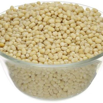 Selected Harvest Urad Dal With Uniform Grain Size For Wholesale Markets Urad Dal Delivered In Bulk Supply - AGRO AFRIQUE COMPANY LIMITED - Tanzania