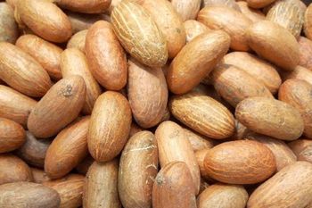 Bitter Kola (garcinia kola) Type big seeds Address Bonaberi ,Douala Place of Origin South West - Cameroon Agricultural Compant Ltd - Cameroon