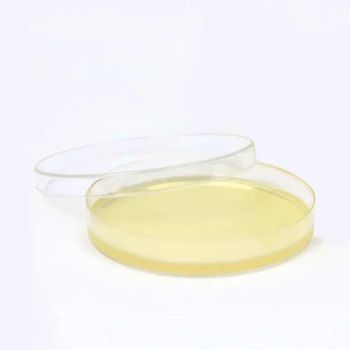 CE/ISO Certified Good Manufacturer Price Disposable Petri Dish - Jinan Babio Biotechnology Co., Ltd. - China