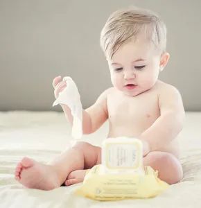Nh Flushable Baby Wet Wipes - Ningbo Riway Industrial Co., Ltd. - China