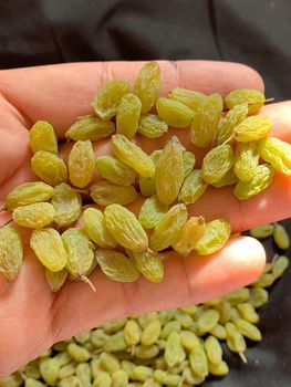 Green Raisins Taste Sweet Shape Long Skinny Drying Process Sun dried Color Bright Natural Green Processing Method Sun-dried - Selam foodstuff gida ltd - Turkey