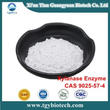 New Hot Sale Powder Granular High Activity Xylanase Enzyme CAS 9025-57-4 - Xi'an Tian Guangyuan Biotech Co., Ltd. - China