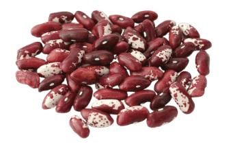 Red variegated calibrated beans Flavor Flavorful Color Red Mottled Origin Uzbekistan Nutritional Value Essential Nutrients - SULTAN AGRO IMPEKS - Uzbekistan