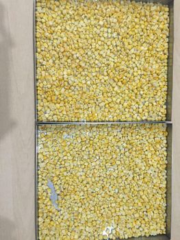 Dehydrated Fruits, Dehydrated Vegetables, Fruit Powders, Vegetable Powders, Processed Activated Almonds, Candied Strawbe - Vidya Chandodi - India