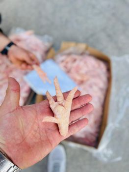 chicken feet – product photo, Chicken Feet products found from trusted suppliers, wholesalers, manufacturers & exporters Listing