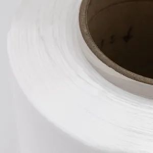 Nylon Polyester Mother Yarn for Shoelaces, Ribbons, and Narrow Fabrics, Excellent Abrasion Resistance, Fray Resistance, Consistent Yarn Evenness - Suzhou Bangyi Textile Technology Co., Ltd. - China