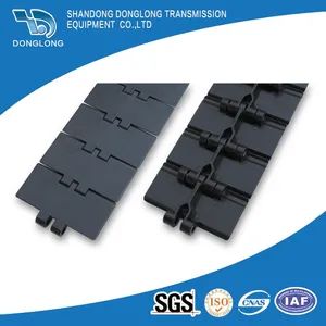 Ten Colors PP PE POM Conveyor Chain Conveyor Belt for Fruit, Egg, Beef, Chicken and Many Other Food - Jinan Honpack Machinery Co., Ltd. - China