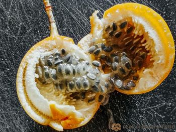 Premium Quality Freeze fresh Passion Fruit Brix Level 12–15° Preservative Use None Moisture Content 80–85% Fiber Content 7–10 G Per - BF GLOBAL TRADING (PTY) LTD - South Africa