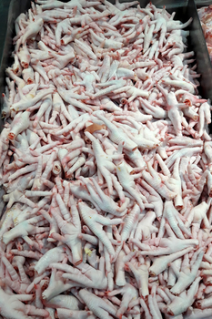 Chicken Paw and feet – product photo, Chicken Paw Pie products found from trusted suppliers, wholesalers, manufacturers & exporters Listing