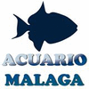 Product – product photo, Frozen Tengra Fish products found from trusted suppliers, wholesalers, manufacturers & exporters Listing