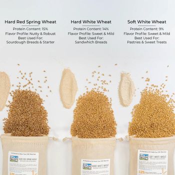 High Quality Dried Wheat Grain for Sale