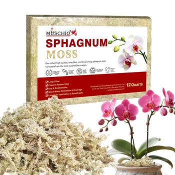 Premium Sphagnum Moss Natural Potting Medium for Succulent Carnivorous Plants Reptiles-Dried Moss - Jinan Sphagnum Horticulture Co., Ltd - China