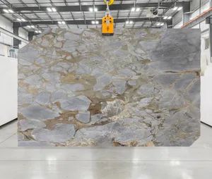 Elegant and Uniform Light Grey Background, Gris Du Roi Marble for Flooring, Wall Cladding, Countertops & Vanities, Art & Decor - GIM STONE CO., LTD. - China