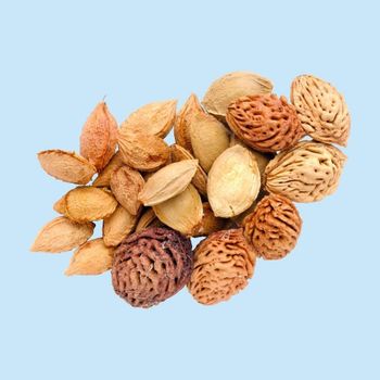 Mix Healthy Walnut Nuts and Seeds Dried Fruits Nut Snacks T/T or L/C 0.25 Kg Natural Color from Viet Nam Flavor Sweet Hard from VIHABA CO., LTD Mix Healthy Walnut Nuts and Seeds Dried Fruits Nut Snacks T/T or L/C 0.25 Kg Natural Color from Viet Nam Flavor Sweet Hard - VIHABA CO., LTD - Vietnam