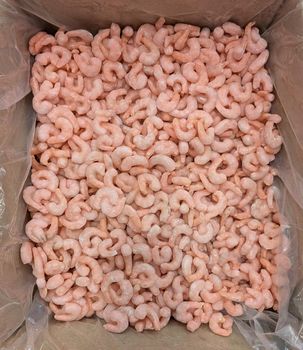 COOKED PUD SHRIMP from amigoseafood co COOKED PUD SHRIMP - amigoseafood co - India