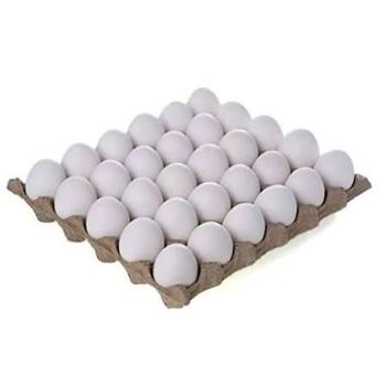 White chicken egg s - AL MADINA IMPEX - India