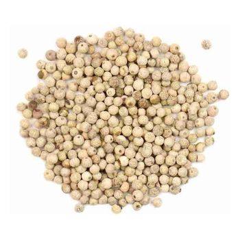 wholesale White Pepper Powder High Quality White Pepper Export Price - MASI TRADING GMBH - Germany