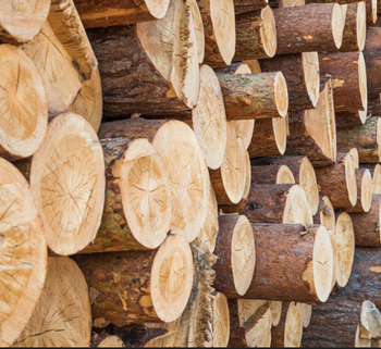 Hardwood Firewood - TRADE NEPAL LLC - United States