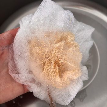 Sponge Gourd Material Loofah Texture Natural Plastic Free Plastic-free Biodegradability - Aygen İthalat ve İhracat Limited Şirketi - Turkey