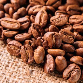 Screen 18 Robusta Coffee Bean Bulk Shipment Natural Process Robusta Coffee Bean For Global Coffee Industry - malter group - Tanzania