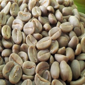PREMIUM UNROASTED GREEN ARABICA COLUMBIAN COFFEE BEANS 25Kg,60Kg BAGS ON SALE/RICH AROMATIC PROFILE WASHED GREEN ARABICA COFFEE BEANS EU SUPPLY - Sosa Merchant Solutions - Austria