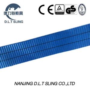 100% Polyester Endless Webbing Sling with Wstda-Ws-1 Standard Rope Core Type Polyester W.L.L(Kg) 5280lbs Sling Color Blue - Nanjing D.L.T Sling Co., Ltd. - China