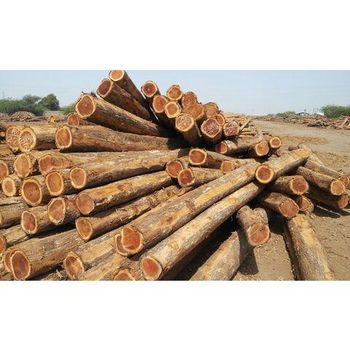Direct Supplier Of Hard Wood Round Logs At Wholesale Price from VERTEX TRADING LIMITED Direct Supplier Of Hard Wood Round Logs At Wholesale Price - VERTEX TRADING LIMITED - United Kingdom