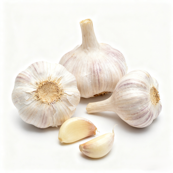 China High Quality Garlic for Wholesale - Liaocheng VividVeg International Trade Co., Ltd - China