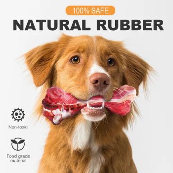 Durable Hot Design Bone Shape Dog Teeth Cleaning Chew Toy with Natural Rubber - Shenzhen Joylife Technology Co., Ltd - China