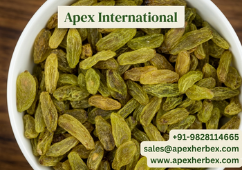 Green Raisins, Green Raisins bulk supplier from India Texture Soft Shelf Life 2 Years Color Natural Green Fat 0.5 G Per 100 G - APEX INTERNATIONAL - India