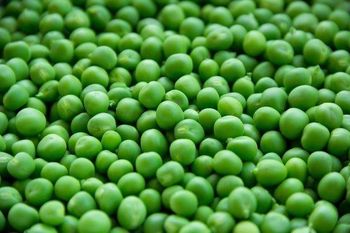PIGEON PEAS - BF GLOBAL TRADING (PTY) LTD - South Africa