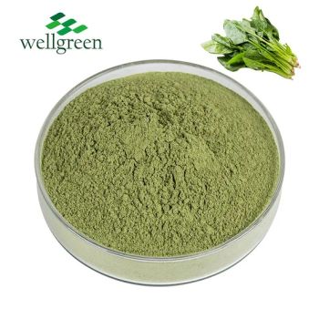 Factory Supply Food Supplement Spinach Juice Powder State Powder Grade Food Grade Shelf Life 2 Years Trademark Wellgreen - Wellgreen Technology Co., Ltd - China