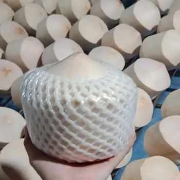 Vietnam Diamond Coconut – product photo, Diamond Coconut products found from trusted suppliers, wholesalers, manufacturers & exporters Listing
