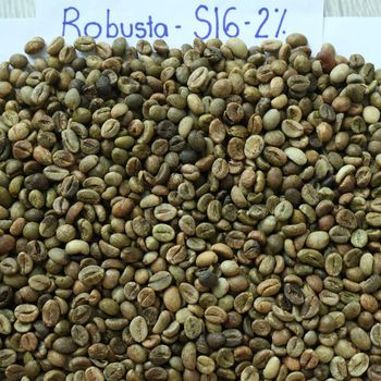 Premium Robusta & Arabica Coffee Beans Available Organic Yes Decaffeinated No, Yes Degree of Processing Raw Bean Type Arabica, Liberica, Other, Robusta - CHHC AGR0-CHEMICAL PRODUCTS WHOLESALING - Philippines