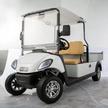 Electric Shuttle a/B Aluminum Cargo Box Utility Vehicle Golf Cart - Wuxi HIO Special Vehicle Co., Ltd. - China