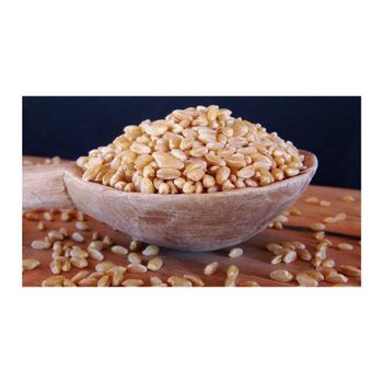 High grade durum wheat prepared for volume sourcing and reliable availability from MASI TRADING GMBH High grade durum wheat prepared for volume sourcing and reliable availability - MASI TRADING GMBH - Germany