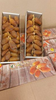 Date fruit / Fresh dates/Deglet Nour from AYA HM EXPOR Date fruit / Fresh dates/Deglet Nour – product photo, Top Quality Products