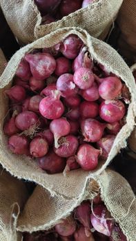 Fresh Onions – product photo, Fresh Baby Onions products found from trusted suppliers, wholesalers, manufacturers & exporters Listing