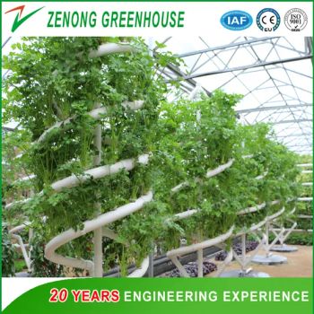Hydroponics Tower Vertical Column Lettuce Strawberry 1Y MOQ100 15D - Shouguang Zenong Greenhouse Engineering Co., Ltd. - China