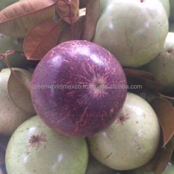 HOT SALE WITH STAR APPLE - HOT MARKET- HOT PRICE Grade A Type Apple Style Fresh Color PURPLE Brand Name GW Weight (kg) - GREEN WORLD IMPORT EXPORT CO.,LTD - Vietnam