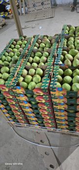 Fresh mango Texture Crisp Salt 0g Per 100g Fat 0.4g Per 100g Color Rich Orange Grade Export grade Fiber 1.6g Per 100g Place of Origin Kenya - JOME EC CARGO SERVICES  - Kenya