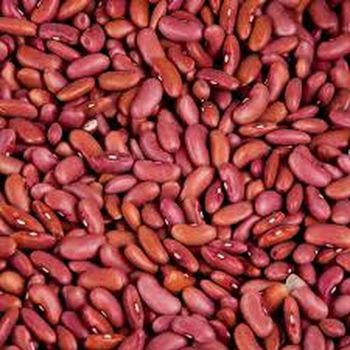 Selected Organic Harvest Dried Kidney Beans With Natural Color Secure Bags And Reliable Export Supply from malter group Selected Organic Harvest Dried Kidney Beans With Natural Color Secure Bags And Reliable Export Supply - malter group - Tanzania