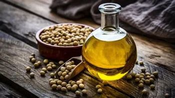 Oil Seeds - Am star group trading plc - Ethiopia