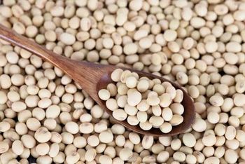 Soybeans Insect Free Guarantee Yes