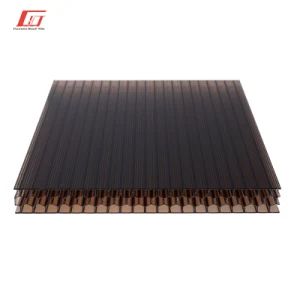 Smoke Tinted Polycarbonate Sheet 2 Layers Sun Sheets PC Hollow Plastic Board - Guangdong Gaoyi Building Materials Science And Technology Co.,Ltd. - China